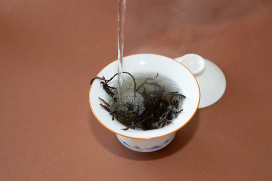 PE004 Pangkham Old Trees Sheng Puerh 2025