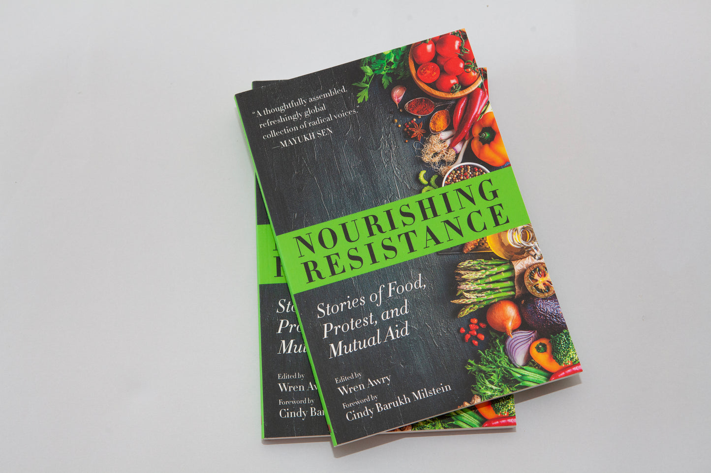 Nourishing Resistance by Cindy Barukh Milstein